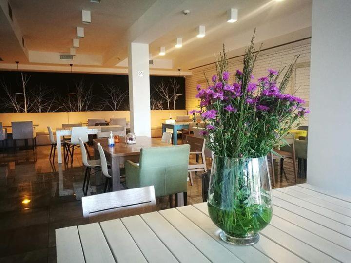 Heba Hotel Divčibare Kültér fotó